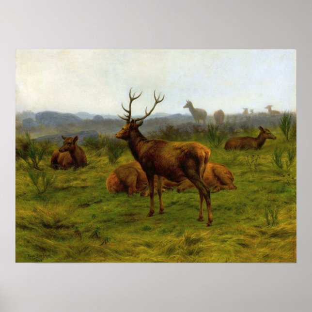 Bonheur - The Monarch Of The Pack Poster (Front)