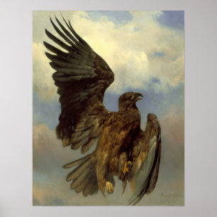 Bonheur - The Wounded Eagle Poster