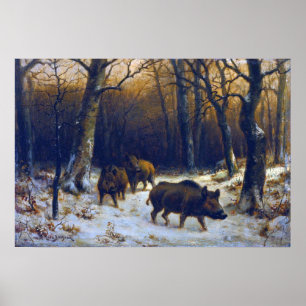 Bonheur - Wild Boars In The Snow Poster