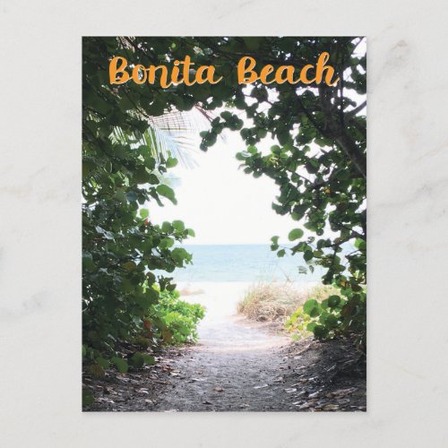 Bonita Beach Florida beach entrance path photo Postcard