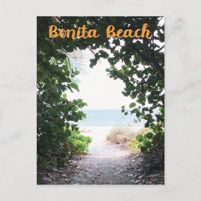 Bonita Beach, Florida beach entrance path photo Postcard (Front)