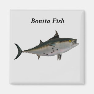 Bonita Fish Magnet