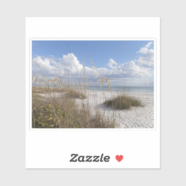 Bonita springs, florida sticker (Sheet)