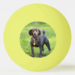 Bonjour Ping Pong Ball