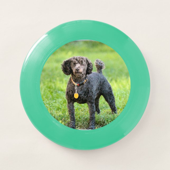 Bonjour Wham-O Frisbee (Front)