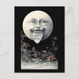 Bonne Annee -- Happy New Year Holiday Postcard