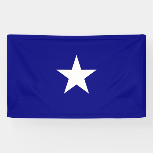 Bonnie Blue Flag Banner