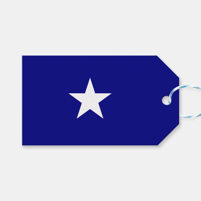 Bonnie Blue Flag Gift Tags (Front (Horizontal))