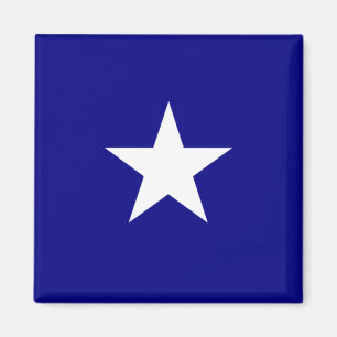 Bonnie Blue Flag Magnet