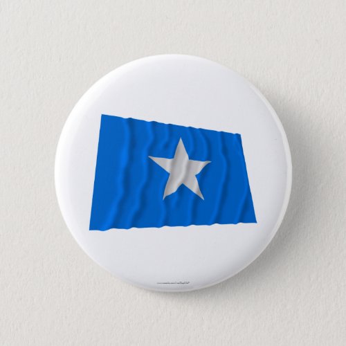 Bonnie Blue Flag  West Florida Republic Flag Pinback Button