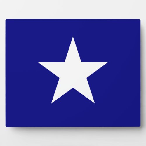 Bonnie Blue Flag White Star Plaque