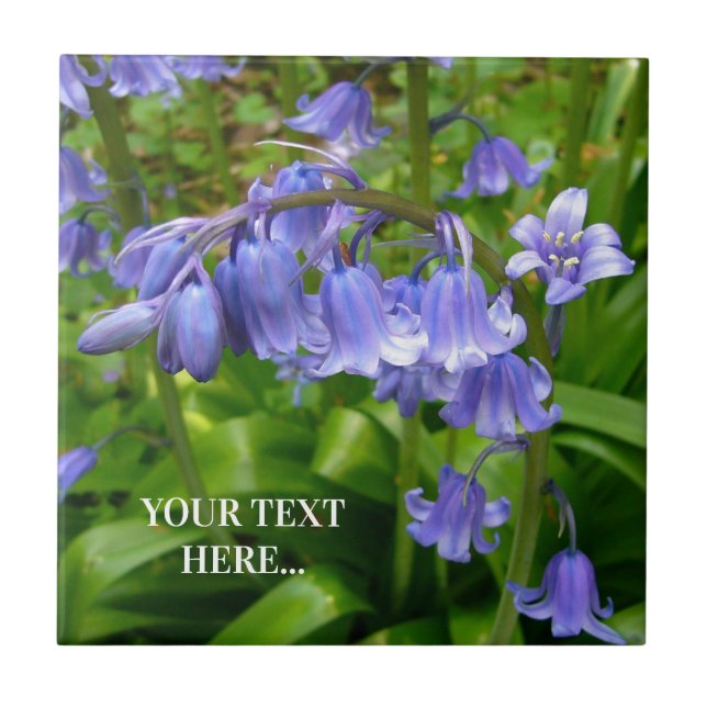 Bonnie Bluebell Ceramic Tile (Front)