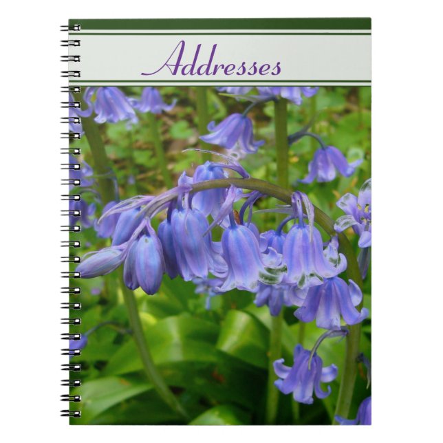 Bonnie Bluebell Notebook (Front)