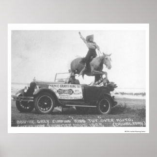 Bonnie Gray jumping her horse. Poster