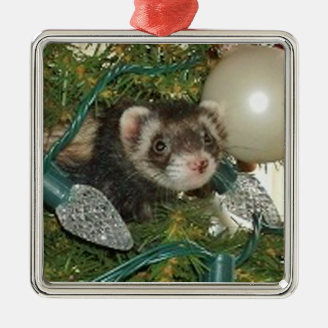 Bonnie in the Tree Christmas Ornament (Front)