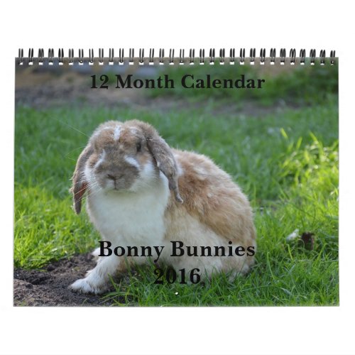 Bonny Bunnies 12 Month Calendar 2016