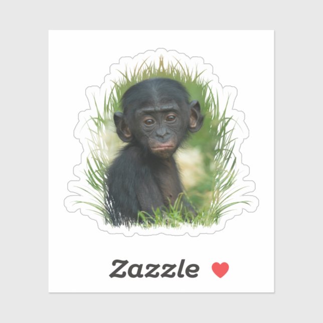 Bonobo Baby In the Grass Sticker (Sheet)