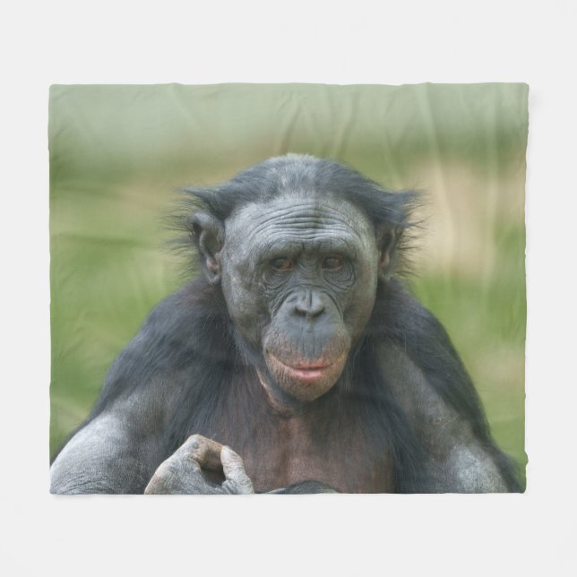 Bonobo Contemplation Fleece Blanket (Front (Horizontal))