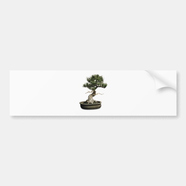 Bonsai Bumper Sticker (Front)