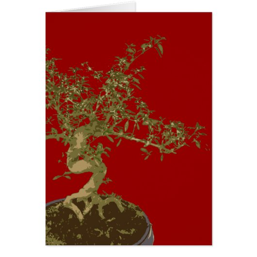 Bonsai Cards (Front)