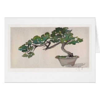 bonsai cards
