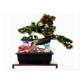 Bonsai Christmas Tree Postcard