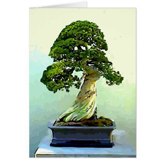 Bonsai Cypress Tree Cards (Front)