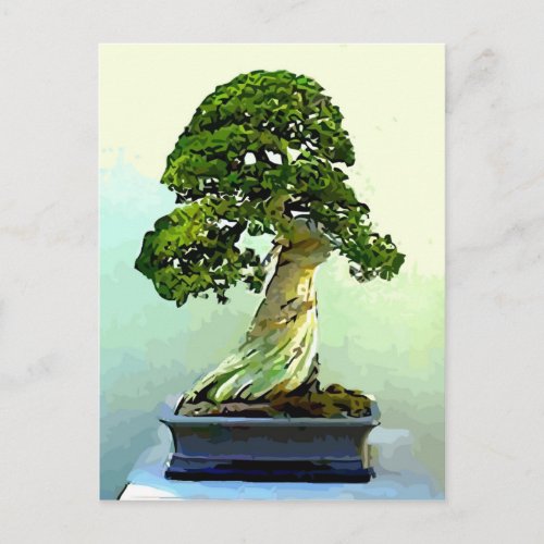 Bonsai Cypress Tree Postcard