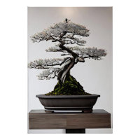Bonsai in Harmony