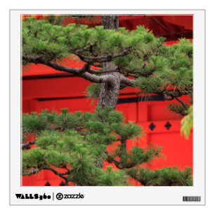 Bonsai Pine Tree Wall Decal