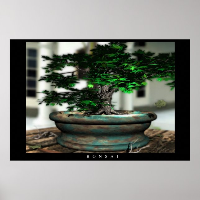 Bonsai Poster (Front)