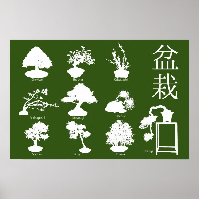 Bonsai Tree Basic Styles 10 Poster (Front)