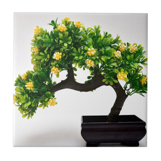Bonsai tree ceramic tile (Front)