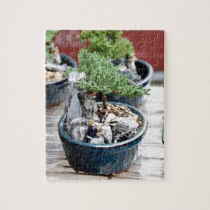 Bonsai Tree Jigsaw Puzzle