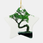 Bonsai-tree Painting Ceramic Ornament at Zazzle