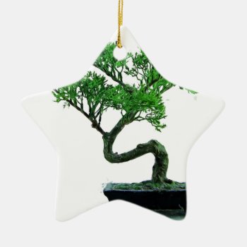 Bonsai-tree Painting Ceramic Ornament by StrumStrokesInc at Zazzle