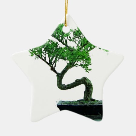 Bonsai-tree Painting Ceramic Ornament