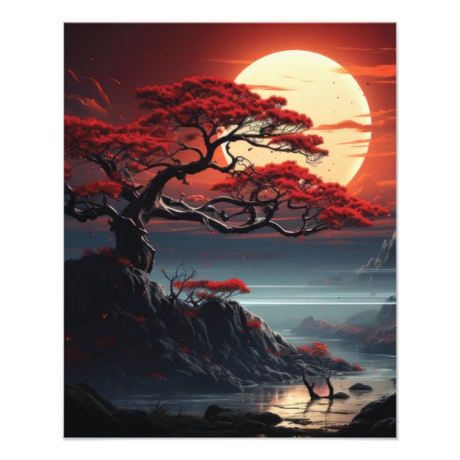 Bonsai Tree  Photo Print (Front)