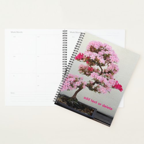 Bonsai Tree Planner