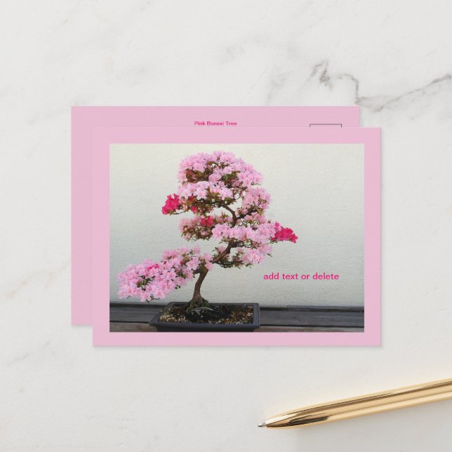 Bonsai Tree Postcard (Front/Back In Situ)