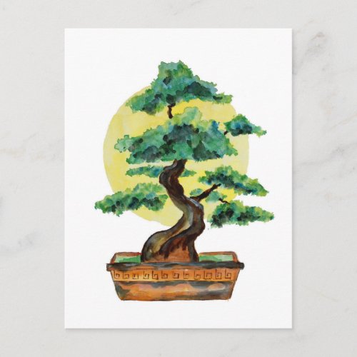 Bonsai Tree Sunshine Postcard