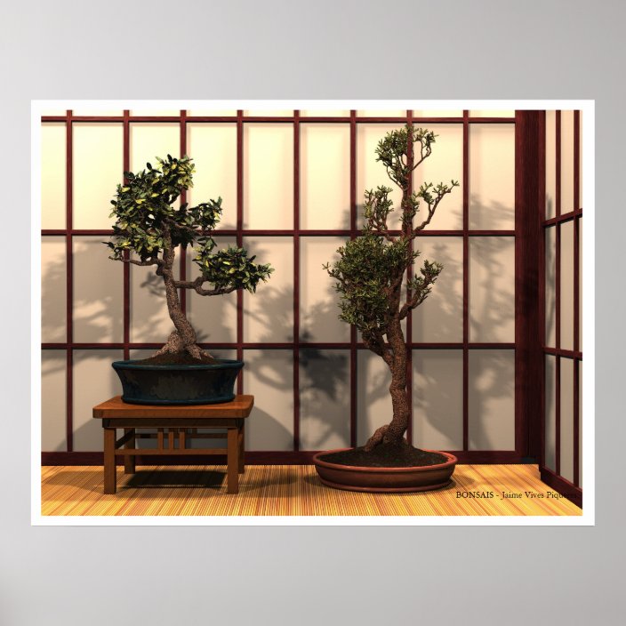 backaroo bonsai poster