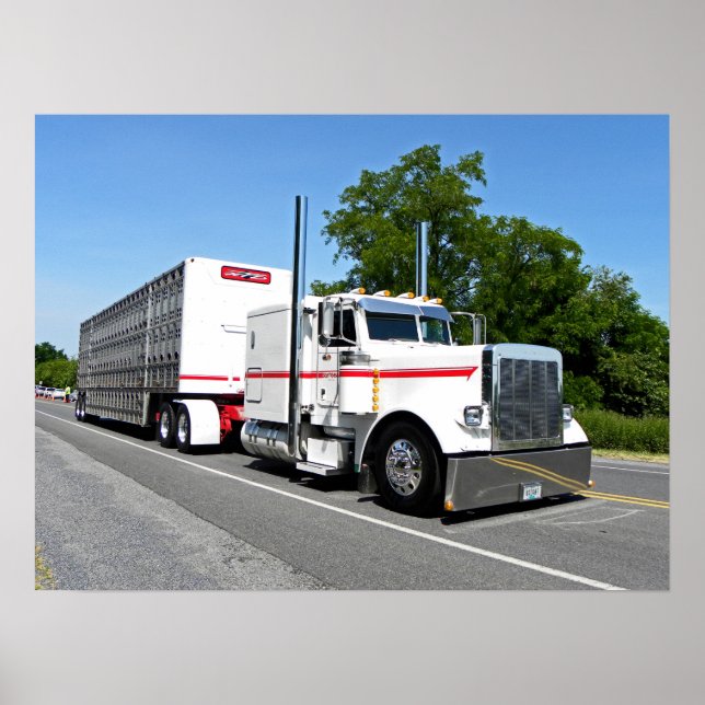 Bontrager's 379 Poster (Front)