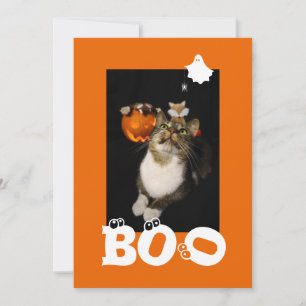 Boo Halloween Cat Ghost Spider Eyeballs Photo Holiday Card