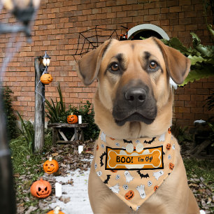 BOO! Halloween Dog Pet Bandana Collar