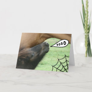 Boo! Halloween Horse Card