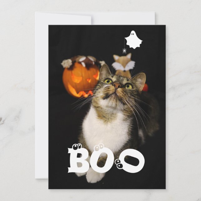 Boo Halloween Pet Ghost Spider Eyeballs Photo Holiday Card (Front)