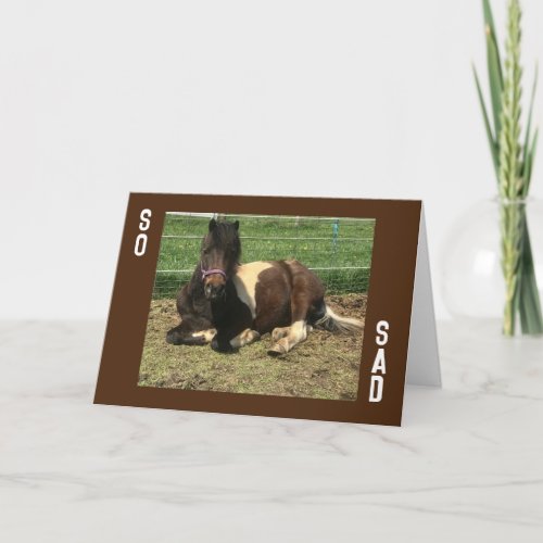 BOO HOO_MISSING YOU SAY CUTE HORSE CARD