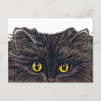 Boo! Spooky Black Cat From Original Watercolor Postcard by GailRagsdaleArt at Zazzle