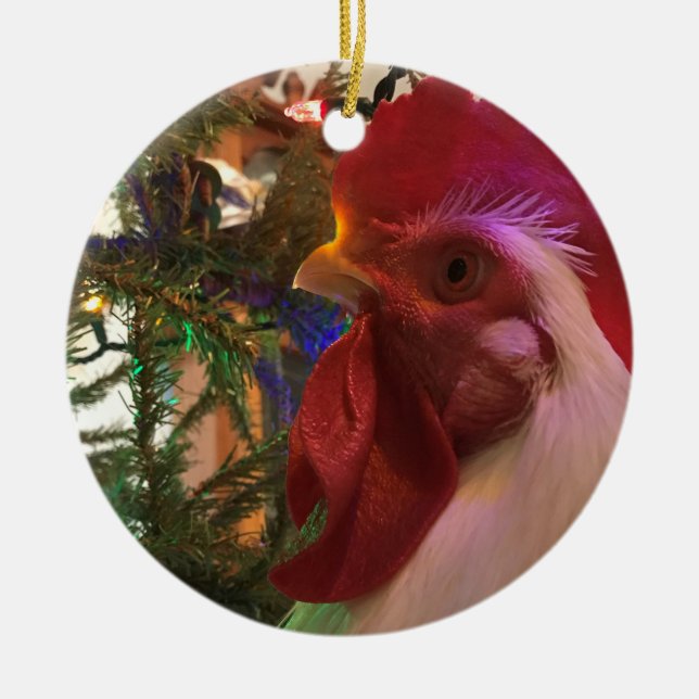 Boo the Roo Circle Christmas Ornament (Front)